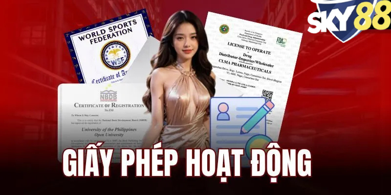 Tìm hiểu về giấy phép hoạt động