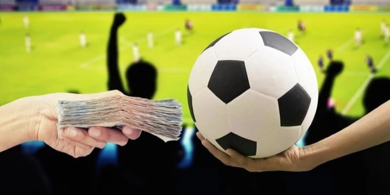 Giải trí hấp dẫn dành cho người yêu thể thao