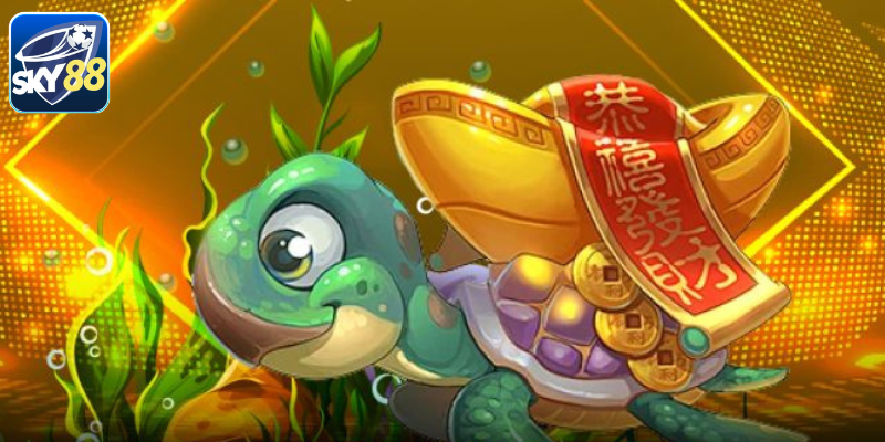 Rùa xanh – mục tiêu vàng và cách chinh phục