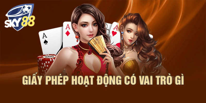 Giấy phép đóng vai trò quan trọng và cần thiết